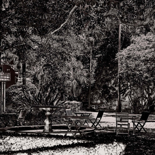 Monochrome Mix - Garden - Woollahra - Sydney - 222108v6 - Close Detail View, A richly textured black and white garden scene featuring scattered chairs, a fountain, and dense tree canopy in a tranquil urban park setting. Limited edition fine art print.