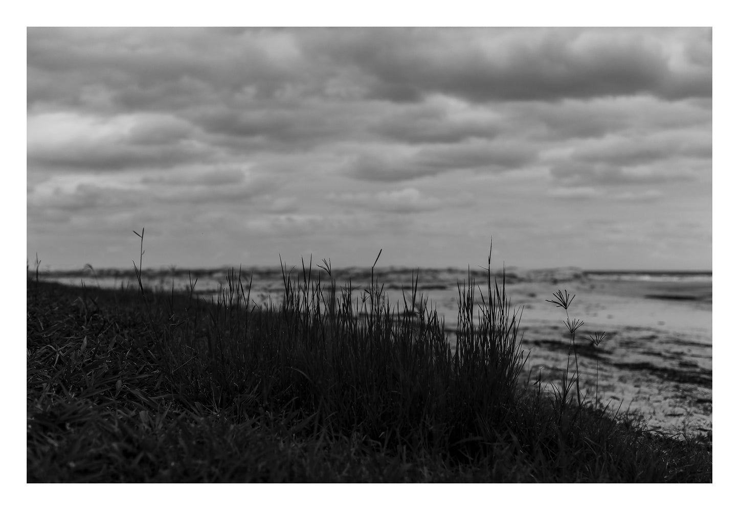 Monochrome Mix - Valla Beach - Beach Dune Grass - 176737 - 104x74cm, Black and white photograph of fine grass silhouetted in the foreground on a coastal dune at Valla Beach, with a moody sky and gentle shoreline blurred in the distance.