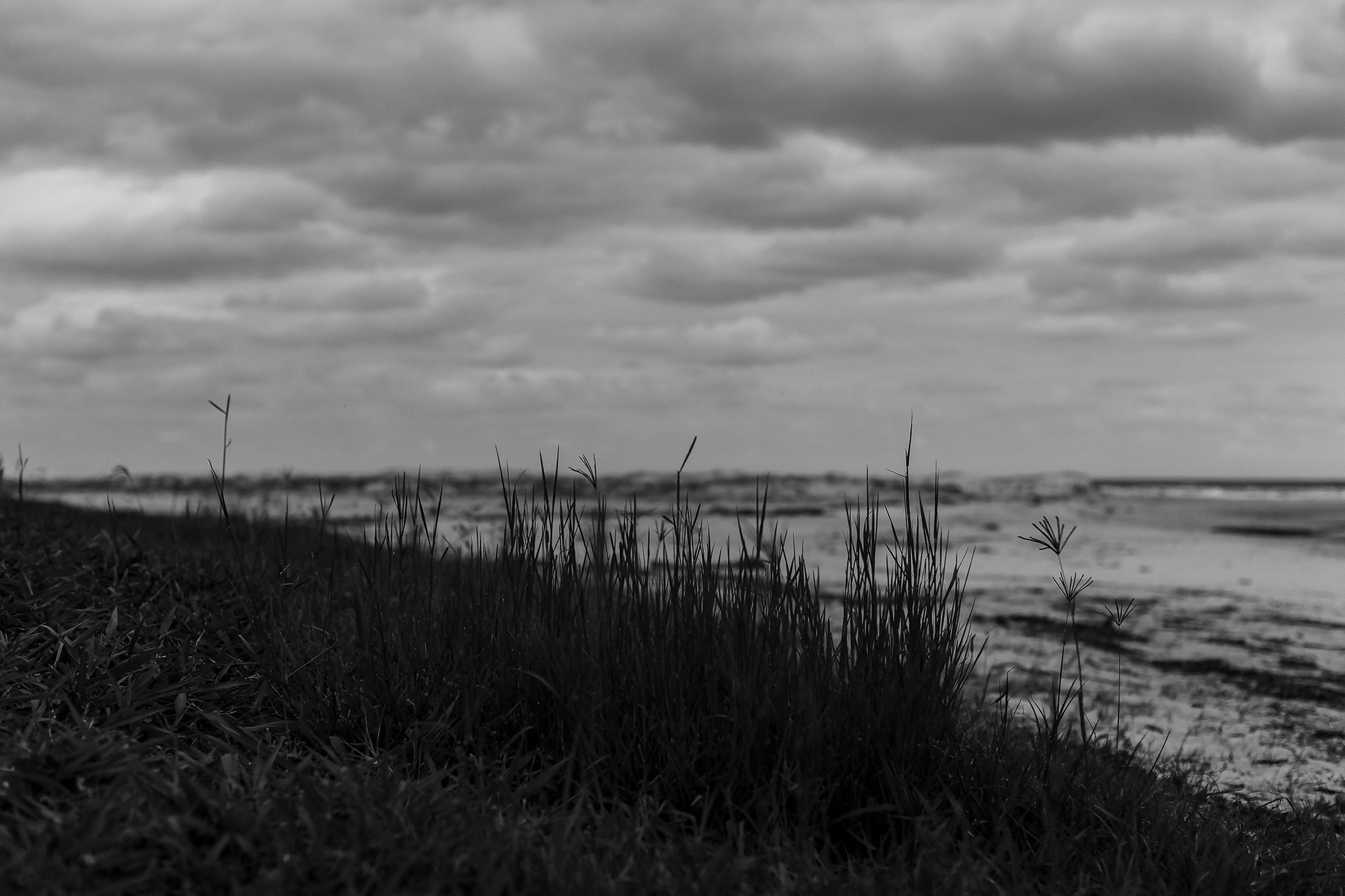 Monochrome Mix - Valla Beach - Beach Dune Grass - 176737 - 90x60cm, Black and white photograph of fine grass silhouetted in the foreground on a coastal dune at Valla Beach, with a moody sky and gentle shoreline blurred in the distance.