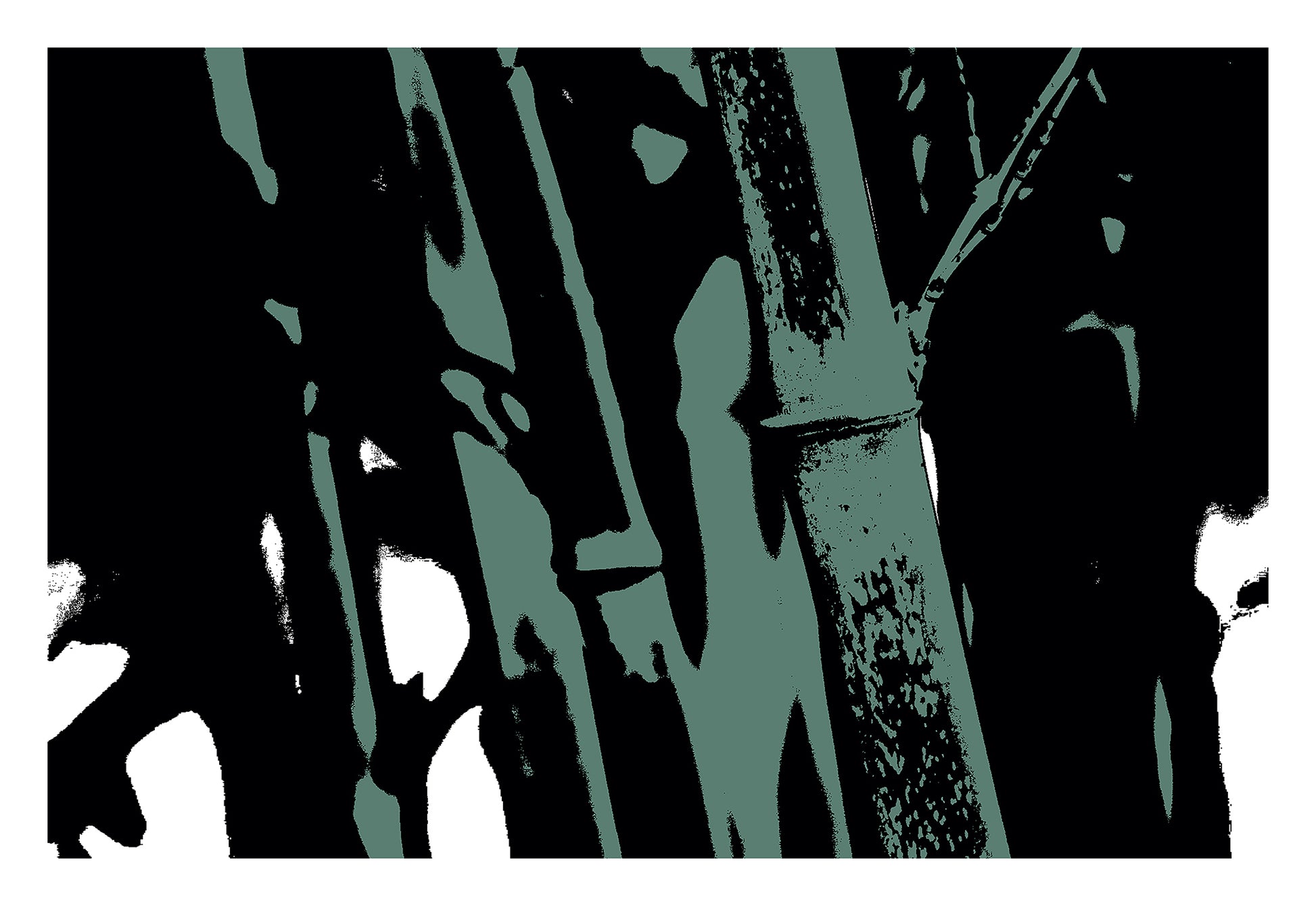 Pop Art Flowers - Bamboo No.104v8a - 104x74cm, a stylized pop art photograph of bamboo stalks rendered in muted sage green and deep black. The high-contrast design emphasises vertical lines and textured surfaces, evoking a moody, minimalist botanical aesthetic.