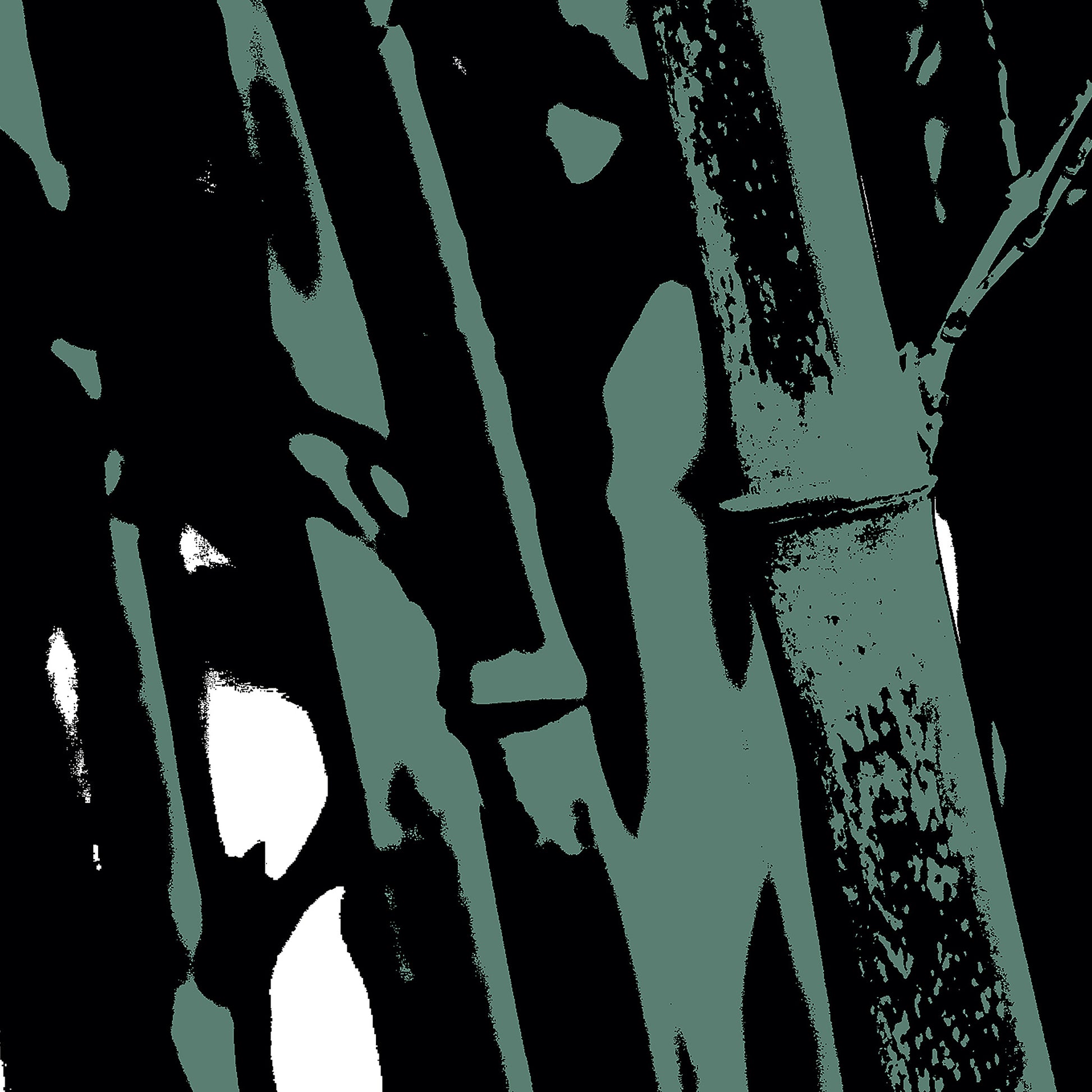 Pop Art Flowers - Bamboo No.104v8a - Close Detail View, a stylized pop art photograph of bamboo stalks rendered in muted sage green and deep black. The high-contrast design emphasises vertical lines and textured surfaces, evoking a moody, minimalist botanical aesthetic.