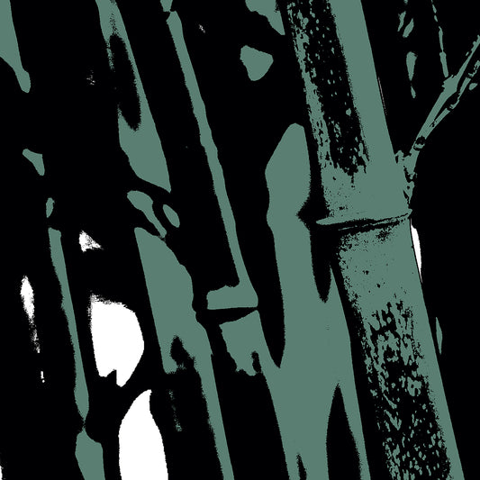 Pop Art Flowers - Bamboo No.104v8a - Close Detail View, a stylized pop art photograph of bamboo stalks rendered in muted sage green and deep black. The high-contrast design emphasises vertical lines and textured surfaces, evoking a moody, minimalist botanical aesthetic.