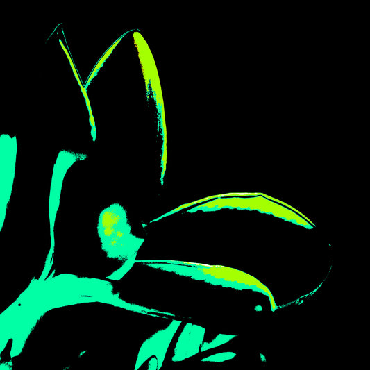Pop Art Flowers - Frangipani - 207015v101 - Close Detail View, Stylised frangipani flower in aqua green and neon lime tones on a stark black background in bold Pop Art style.