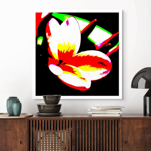 Xtra POP Set - Frangipani - 207015v203 - Room View, Brightly coloured frangipani flower in red, white, yellow and green with bold graphic contrast on a black background.