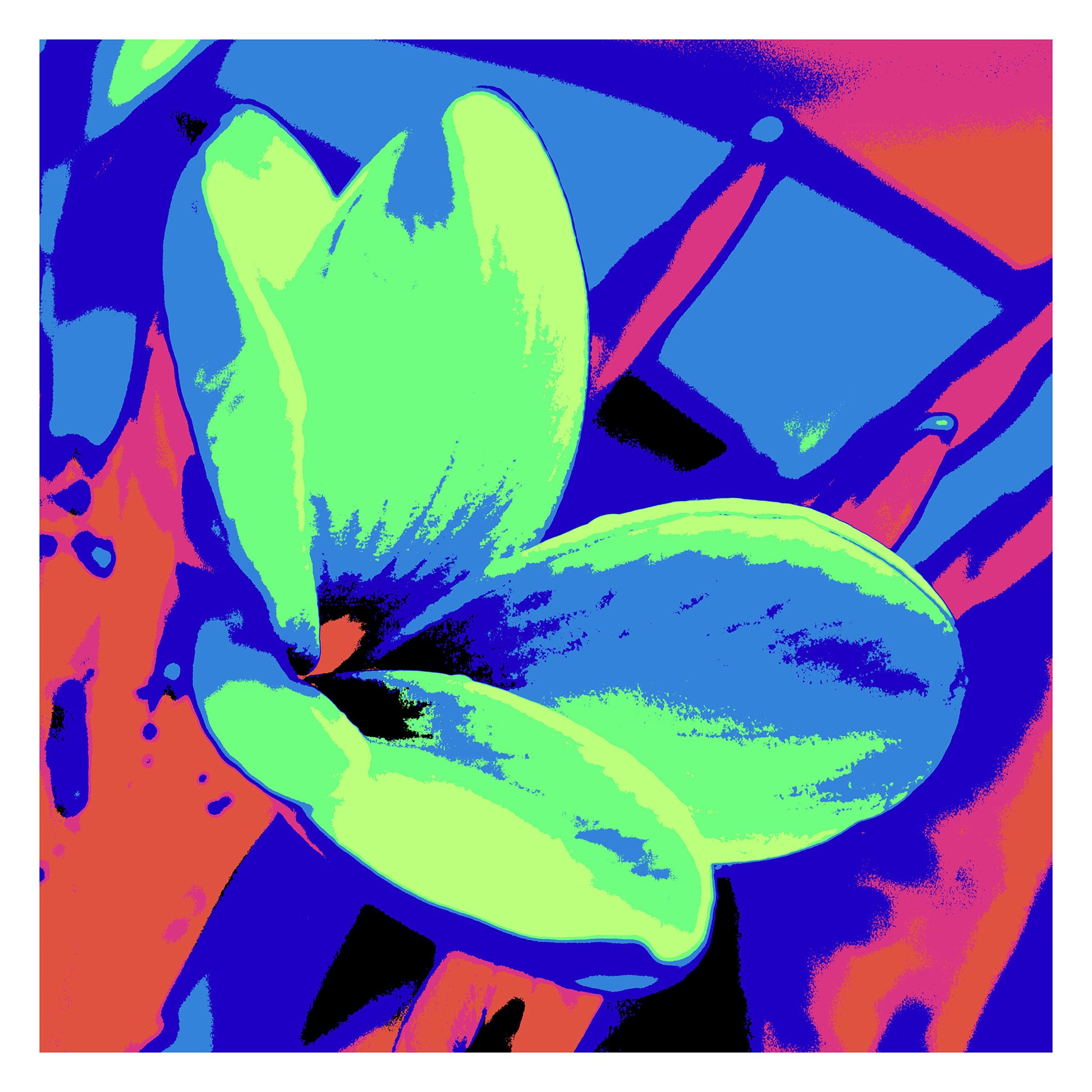 Xtra POP Set - Frangipani - 207015v213 - 104x104cm, Frangipani flower in vibrant green, blue, and coral tones with bold graphic styling and saturated Pop Art colour treatment.