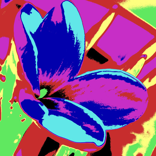 Pop Art Flowers - Frangipani - 207015v215 - Close Detail View, Vivid multicoloured frangipani flower in bright pinks, blues, reds, and greens with bold Pop Art contrast and stylised treatment.