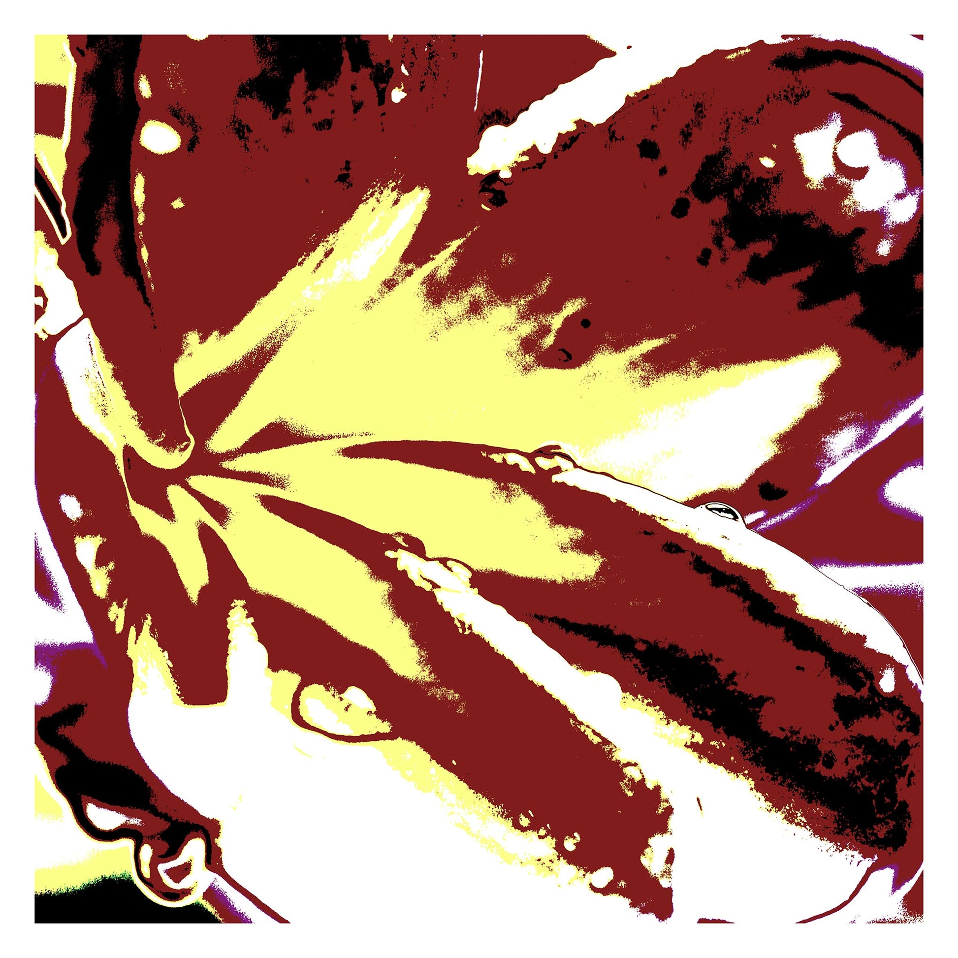 Pop Art Flowers - Frangipani - 207015v307 - 104x104cm, Stylised frangipani in earthy ochre, maroon, and cream tones with bold graphic contrasts on white border.