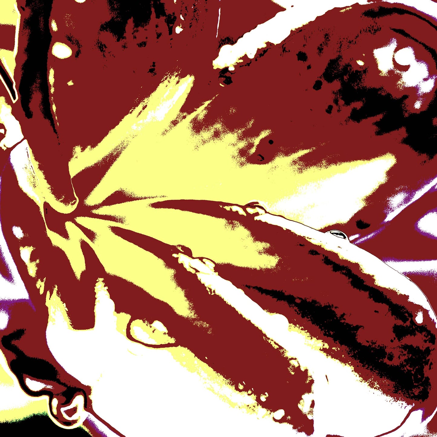 Pop Art Flowers - Frangipani - 207015v307 - 90x90cm, Stylised frangipani in earthy ochre, maroon, and cream tones with bold graphic contrasts on white border.