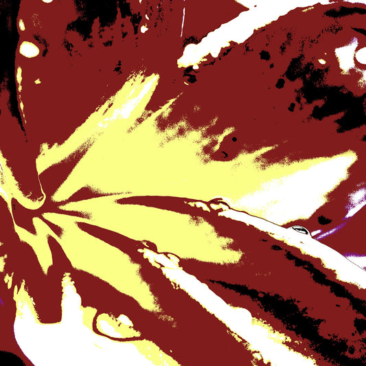 Pop Art Flowers - Frangipani - 207015v307 - Close Detail View, Stylised frangipani in earthy ochre, maroon, and cream tones with bold graphic contrasts on white border.