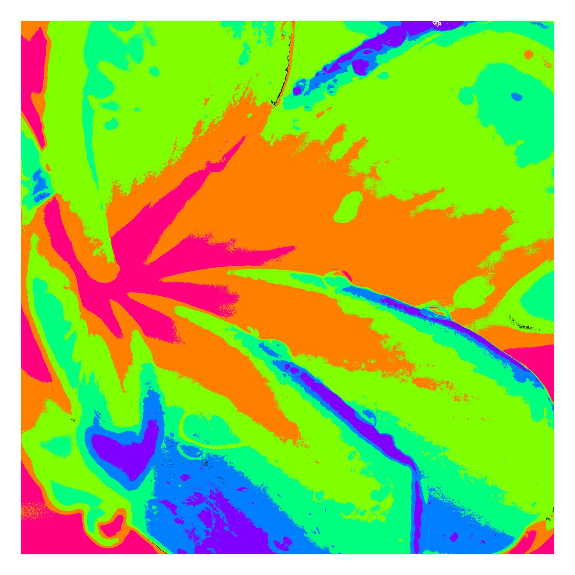 Xtra POP Set - Frangipani - 207015v413 - 104x104cm, Frangipani flower in fluorescent green, pink, orange, and blue tones with vivid Pop Art stylisation and high-impact colour.