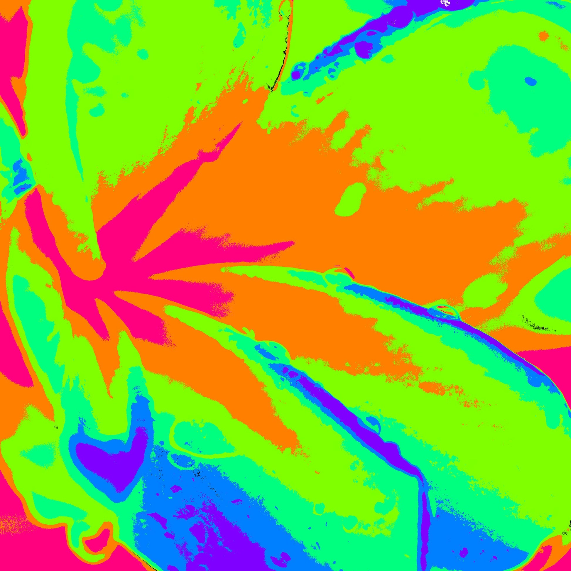 Xtra POP Set - Frangipani - 207015v413 - 90x90cm, Frangipani flower in fluorescent green, pink, orange, and blue tones with vivid Pop Art stylisation and high-impact colour.