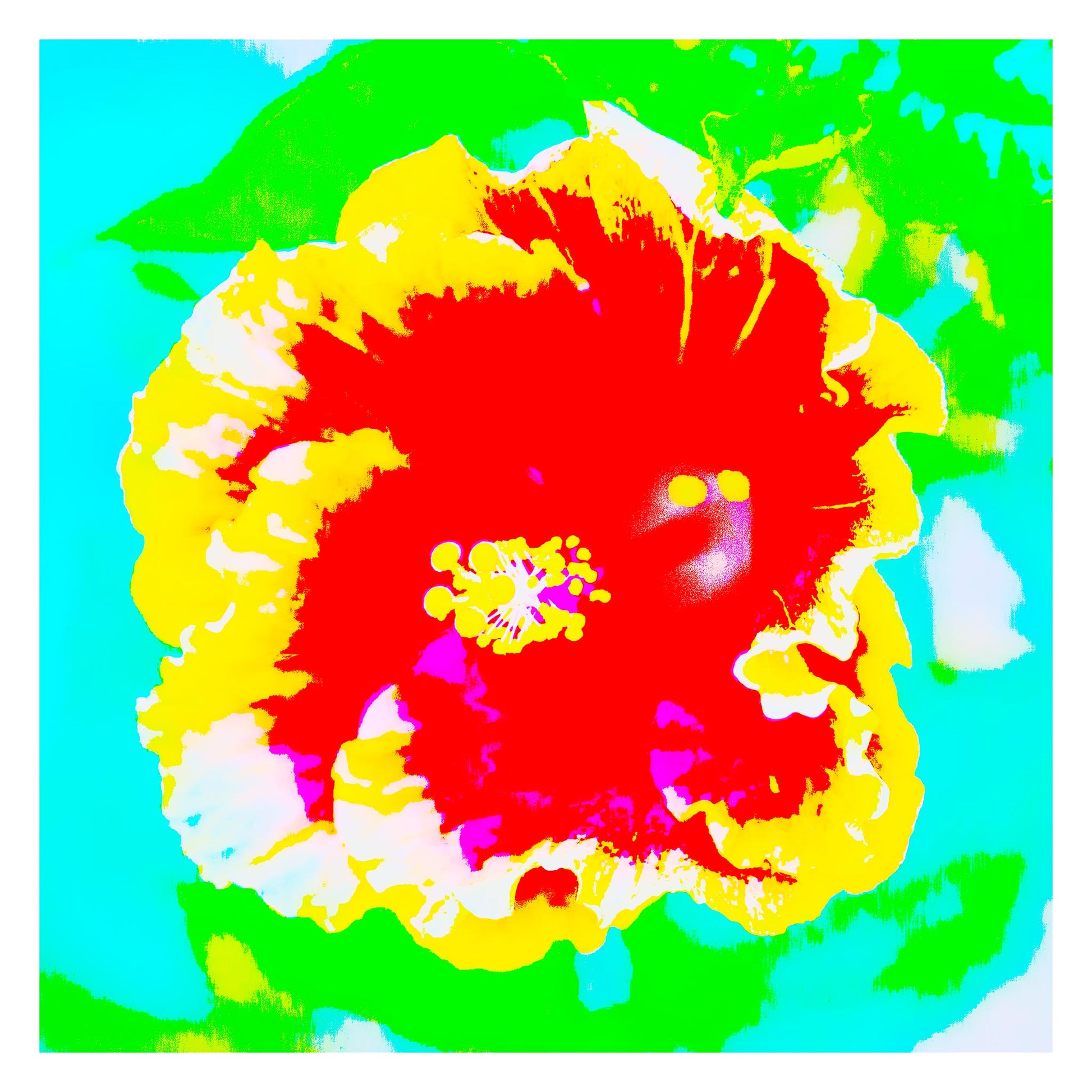 Pop Art Flowers - Hibiscus - 1920763 - 104x104cm, Bold hibiscus flower in red, yellow, and white with vibrant green and turquoise background in graphic Pop Art style.