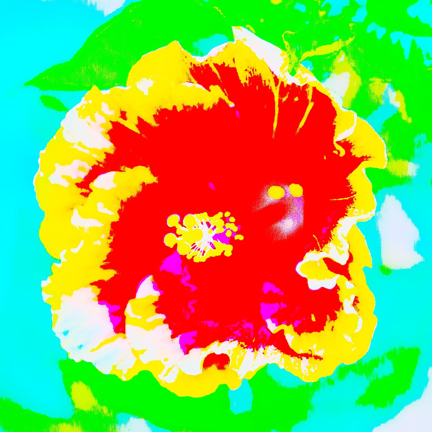 Pop Art Flowers - Hibiscus - 1920763 - 90x90cm, Bold hibiscus flower in red, yellow, and white with vibrant green and turquoise background in graphic Pop Art style.