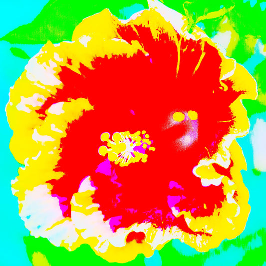 Pop Art Flowers - Hibiscus - 1920763 - Close Detail View, Bold hibiscus flower in red, yellow, and white with vibrant green and turquoise background in graphic Pop Art style.