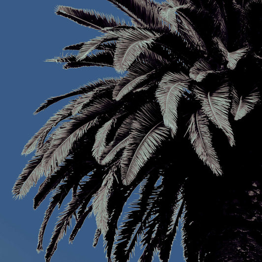 Pop Art Flowers - Palm - Paddington - 258898v13 - Close Detail View, Stylised palm tree with cool-toned fronds against a muted blue sky in soft Pop Art treatment.