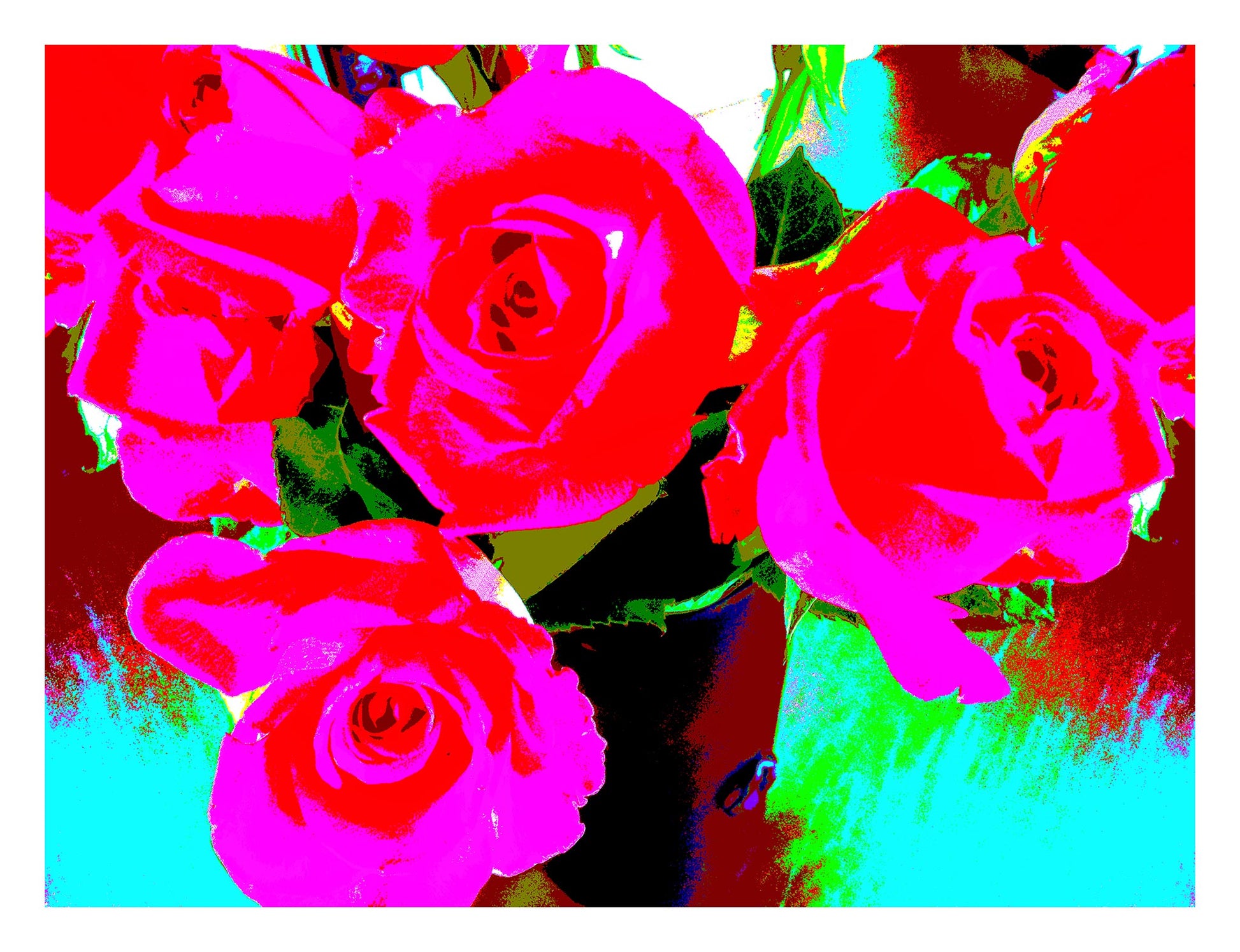 Pop Art Flowers - Roses - Vase - 153339v64 - 104x81.5cm, A vivid pop art image of red and pink roses in a vase, digitally enhanced with bold, saturated colours including turquoise, lime green, and magenta. Electrifying floral artwork. Limited edition fine art print.