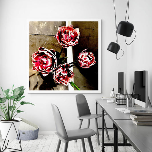 Pop Art Flowers - Sydney - Paddington - Cafe Flowers - 226932v1 - Room View, Stylised top-down image of four vibrant red and white peony-style flowers on a textured café floor, with contrasting concrete and wood surfaces in the background.