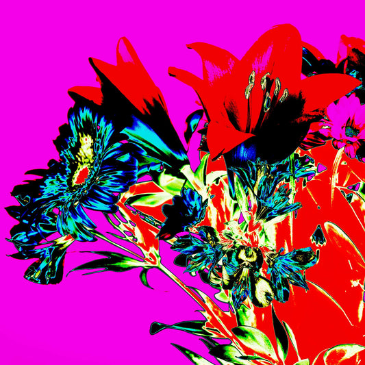 Pop Art Flowers - The Gift 369O1084v4 - Close Detail View, a vivid square format pop art image of red lilies, blue daisies, and green foliage against a hot magenta background. The composition is bold, saturated, and emotionally expressive, resembling a stylised floral bouquet.