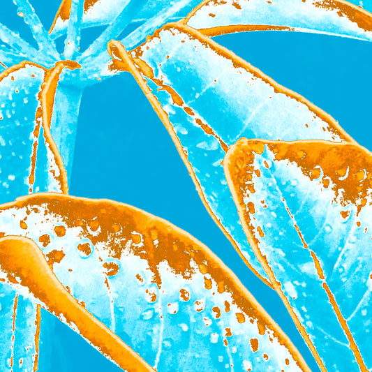 POP Art Collection Flowers - Frangipani Leaves 4836v5a - Close Detail View, vibrant frangipani leaves fine art print with bold turquoise and orange stylised leaves, limited edition by Raymond Mather, ART1.