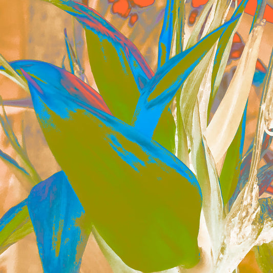 POP Art Collection Flowers - Bird of Paradise 5937v2 - Close Detail View, fine art print with dramatic stylised petals in orange, green, and pink hues, limited edition by Raymond Mather, ART1.