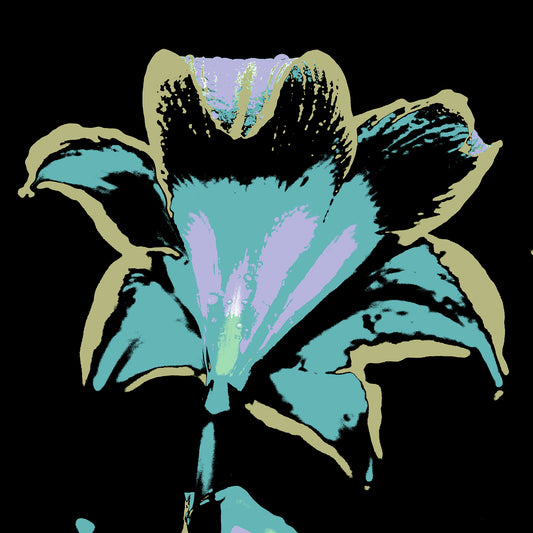 POP Art Collection Flowers - Hippeastrum 1910v27 - Close Detail View, vibrant hippeastrum flower fine art print with stylised black, turquoise, and pink petals, limited edition by Raymond Mather, ART1.