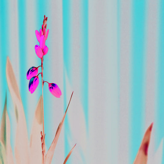 POP Collection - Flowers in the Garden - 8657v57a - Close Detail View, stylised garden flowers fine art print with soft pastel tones and elegant form, limited edition by Raymond Mather, ART1.