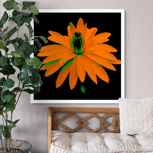 POP Art Collection Flowers - Lily in the Lake 25002bv5 - Room View, vibrant lily flower fine art print with bold orange petals on a black background, limited edition by Raymond Mather, ART1.
