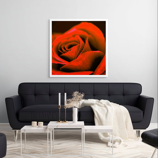 POP Art Collection Flowers - Rose 3980v1027 - Room View, vibrant rose fine art print with dramatic red petals and a soft dark background, limited edition by Raymond Mather, ART1.