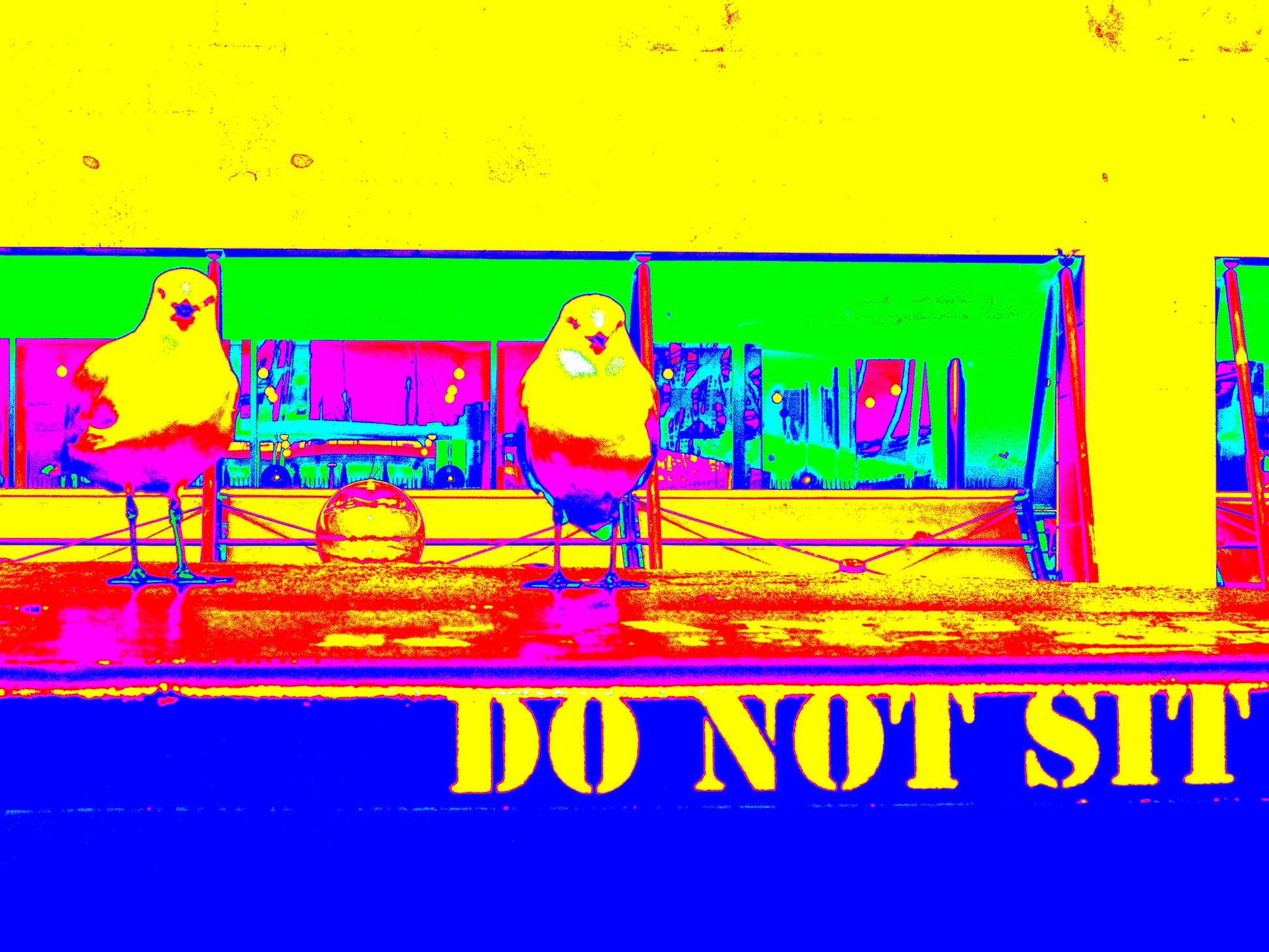 POPscape Sydney - Circular Quay - Seagull Ferry - 3660v4 - 90x67.5cm, Stylised Pop Art image of two seagulls perched on a ferry bench with a “DO NOT SIT” sign. Neon yellow, pink, and blue tones create a playful urban contrast.