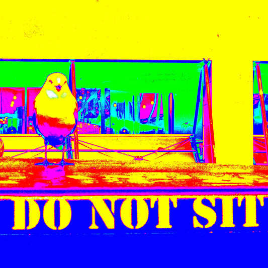 POPscape Sydney - Circular Quay - Seagull Ferry - 3660v4 - Close Detail View, Stylised Pop Art image of two seagulls perched on a ferry bench with a “DO NOT SIT” sign. Neon yellow, pink, and blue tones create a playful urban contrast.