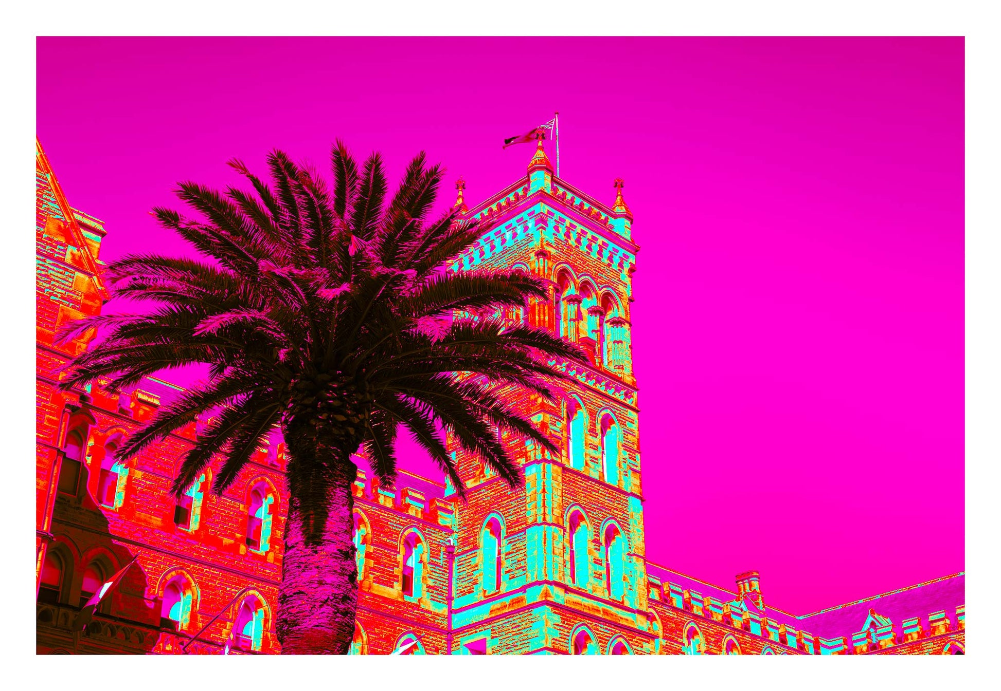 POPscape Sydney - Manly - Castle Palm - 3615v17 - 104x74cm, Stylised image of a large palm tree in front of a historic stone building in Manly, Sydney. The scene is bathed in vivid neon colours with a magenta sky, evoking a Pop Art fantasy.