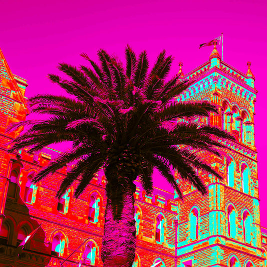 POPscape Sydney - Manly - Castle Palm - 3615v17 - Close Detail View, Stylised image of a large palm tree in front of a historic stone building in Manly, Sydney. The scene is bathed in vivid neon colours with a magenta sky, evoking a Pop Art fantasy.