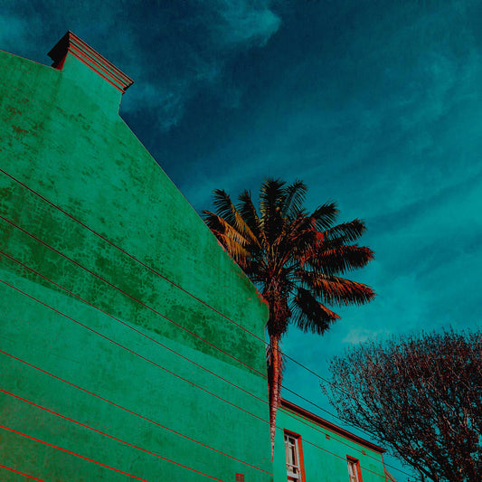 POPscape Sydney - Paddington - Palm - 8780v12 - Close Detail View, Stylised urban scene featuring a palm tree and leafless tree beside a flat green wall under a rich blue sky. Bold colour treatment and strong architectural lines in Pop Art style.