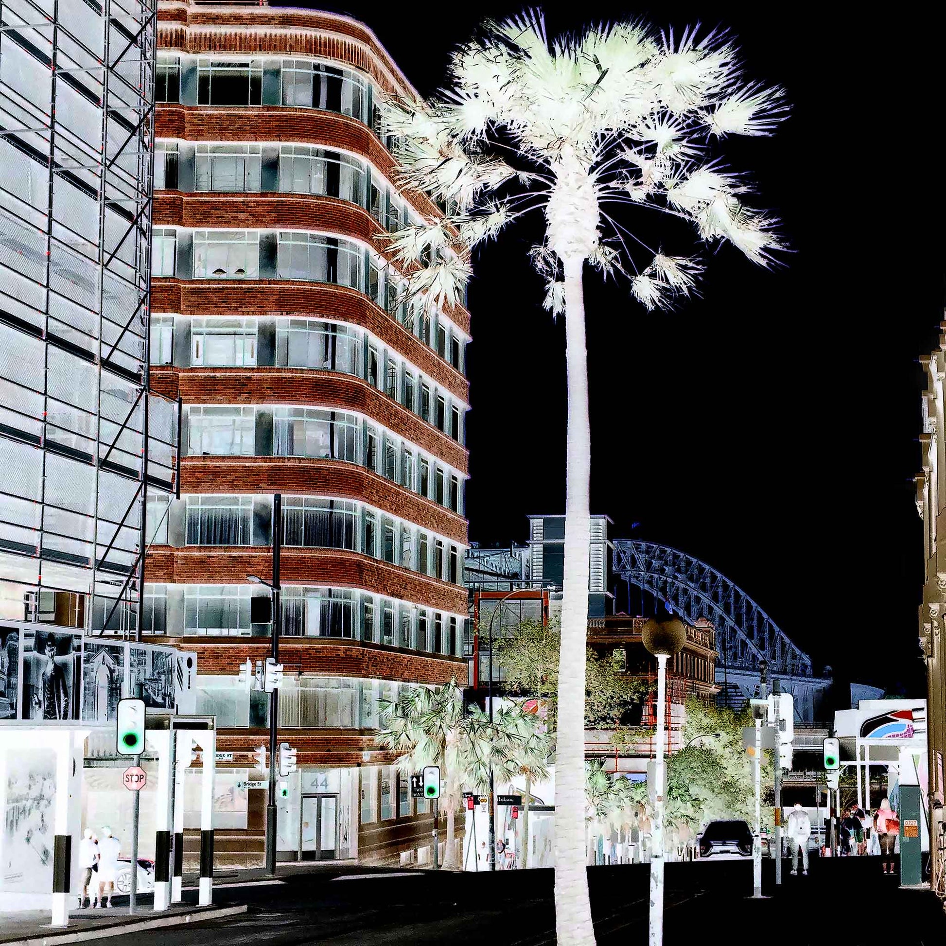 POPscape Sydney - Pitt Street - Palm - 229180v3b - Close Detail View, Stylised scene of Pitt Street, Sydney, featuring a glowing palm tree in the foreground, modern buildings, streetlights, pedestrians, and a glimpse of the Harbour Bridge in high-contrast inverted tones.