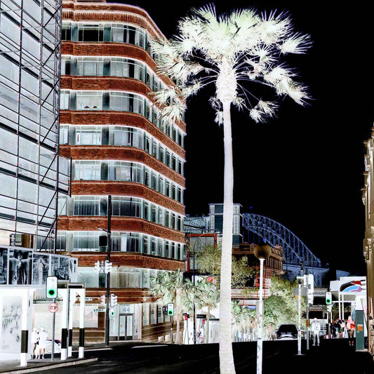 POPscape Sydney - Pitt Street - Palm - 229180v3b - Close Detail View, Stylised scene of Pitt Street, Sydney, featuring a glowing palm tree in the foreground, modern buildings, streetlights, pedestrians, and a glimpse of the Harbour Bridge in high-contrast inverted tones.