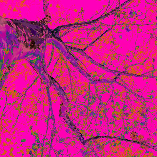 POPscape Sydney - Potts Point - Tree - 203898v20 - Close Detail View, Stylised image of a tree viewed from below, its dark branches stretching across a vibrant hot pink background. Pop Art-inspired colour palette with neon accents and organic detail.
