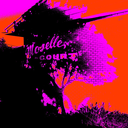 Vivid Country - Sawtell - Moselle Court - 1629v1016a - Close Detail View, Pop-inspired fine art print of a suburban brick building in Sawtell with the words "Moselle Court" visible, rendered in vivid pink, red, and black tones with stylised shadow and tree detail.