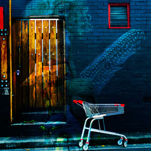 Trolley Dolly - Series No.2: 19E2255v5 - Close Detail View, a faint, translucent female figure with a speckled feather overlay appears on a dark brick wall. A red-handled shopping trolley is parked in the foreground beside a wooden door textured with market imagery. The moody, layered composition evokes themes of homelessness, memory, and unseen burdens.