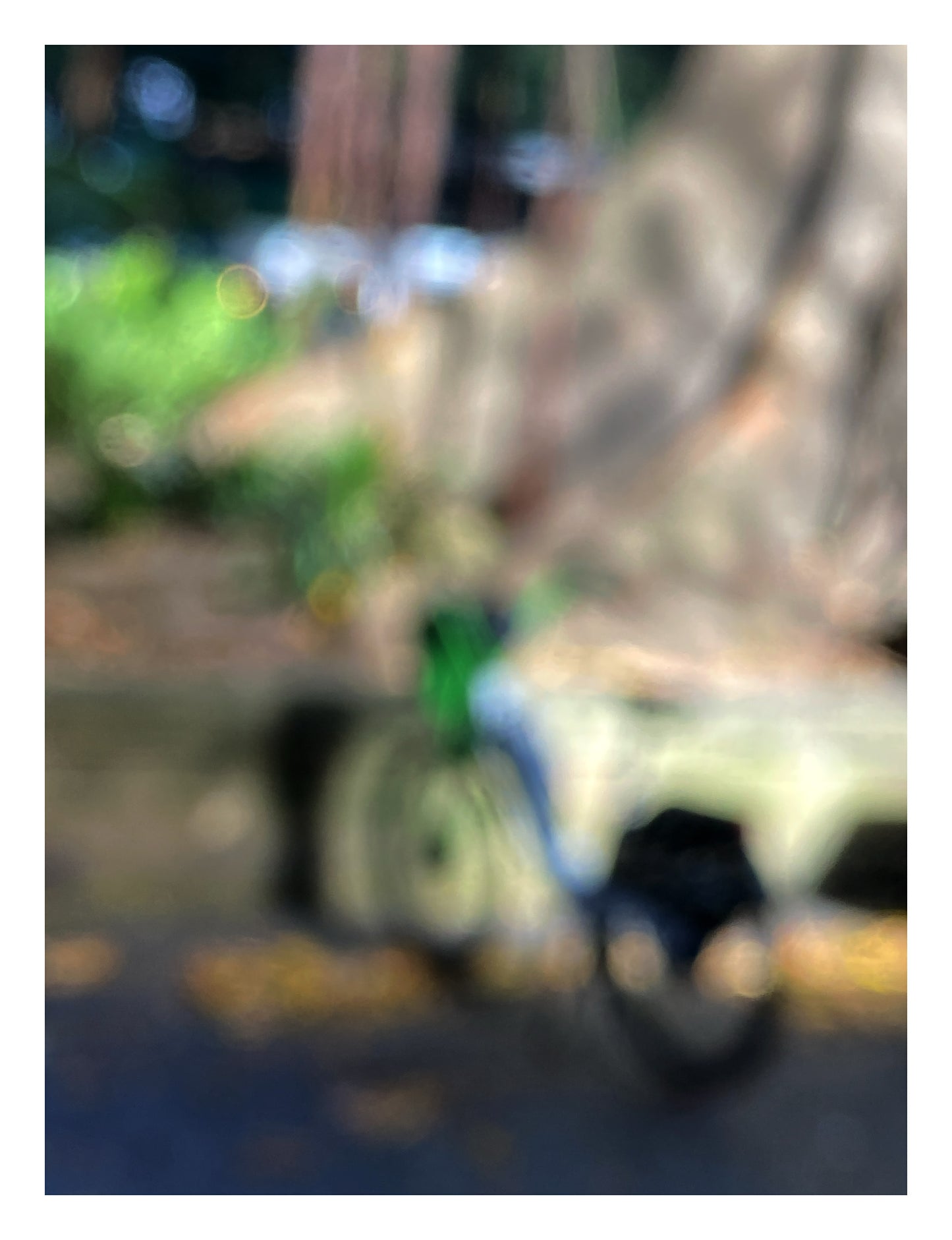 Urban Commute - Series No.1: 9963v1 - 81.5x104cm, a soft focus image of a green and blue commuter bike leaning beside a Morton Bay Fig in dappled light. Abstracted tree trunks and bokeh foliage fill the blurred background. Limited edition fine art print by Raymond Mather.