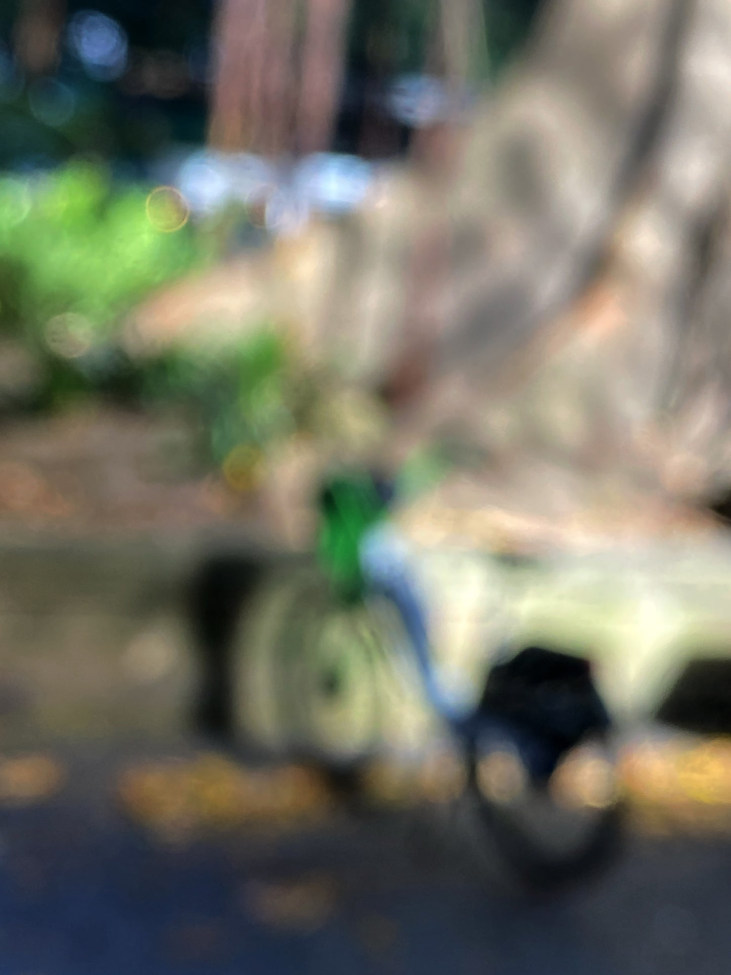 Urban Commute - Series No.1: 9963v1 - 67.5x90cm, a soft focus image of a green and blue commuter bike leaning beside a Morton Bay Fig in dappled light. Abstracted tree trunks and bokeh foliage fill the blurred background. Limited edition fine art print by Raymond Mather.