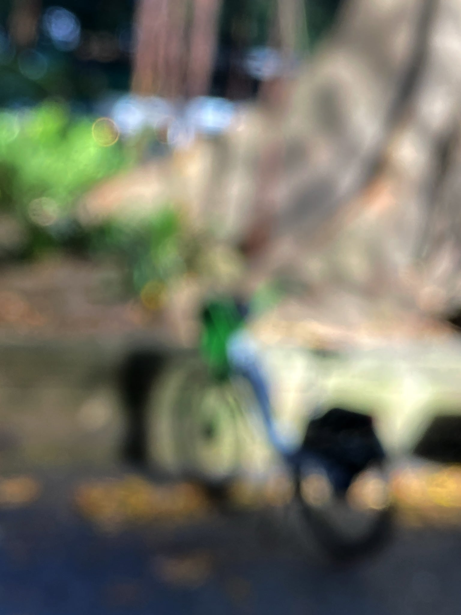 Urban Commute - Series No.1: 9963v1 - 67.5x90cm, a soft focus image of a green and blue commuter bike leaning beside a Morton Bay Fig in dappled light. Abstracted tree trunks and bokeh foliage fill the blurred background. Limited edition fine art print by Raymond Mather.