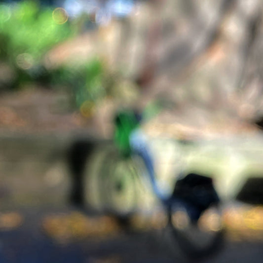 Urban Commute - Series No.1: 9963v1 - Close Detail View, a soft focus image of a green and blue commuter bike leaning beside a Morton Bay Fig in dappled light. Abstracted tree trunks and bokeh foliage fill the blurred background. Limited edition fine art print by Raymond Mather.