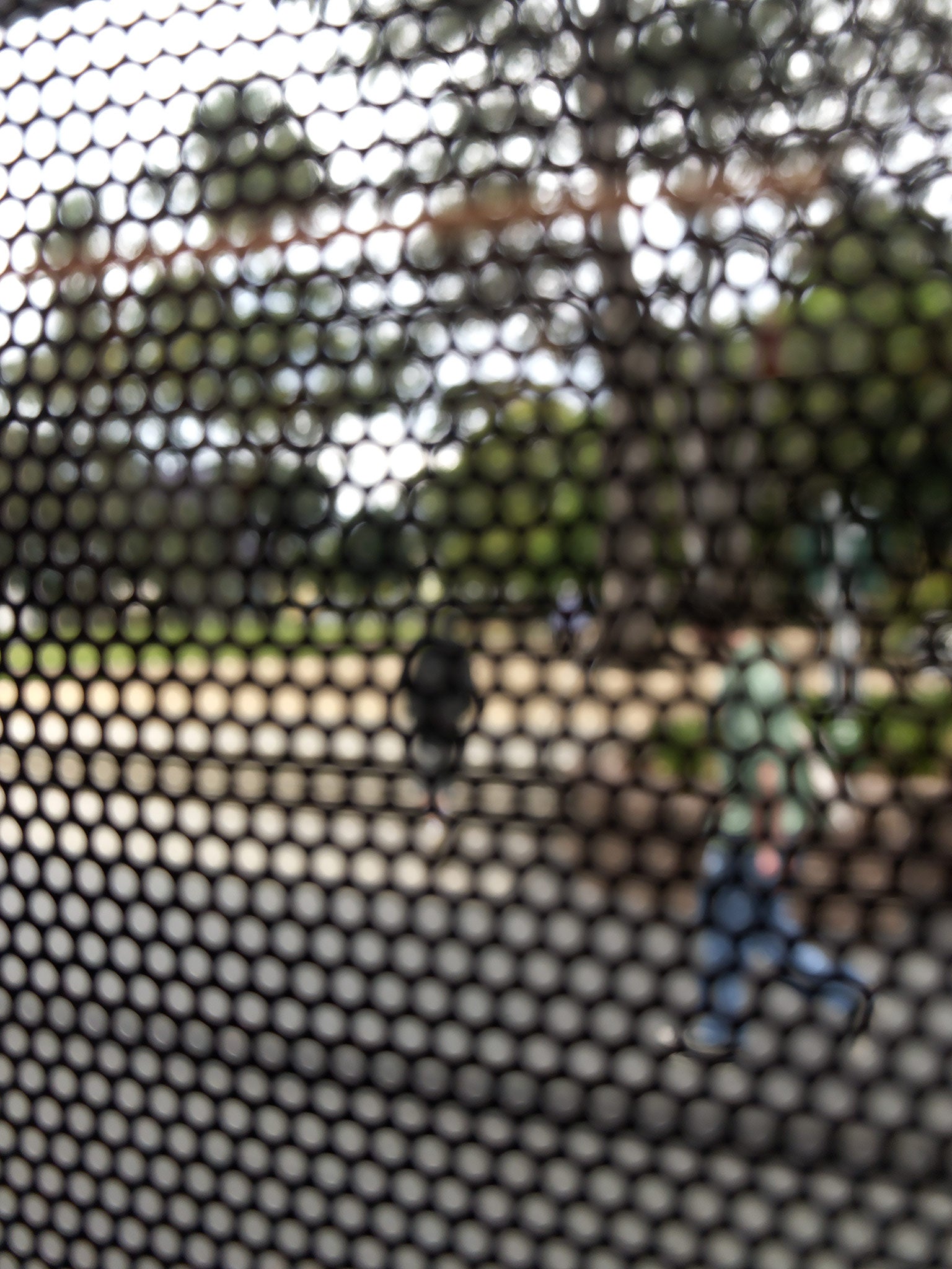 Urban Commute - Series No.2: 8475v1 - 67.5x90cm, fine art photograph by Raymond Mather featuring two pedestrians viewed through a dark circular grid. One figure in blue jeans moves mid-stride, while the other recedes into a background of trees and dappled light. A soft-focus urban composition exploring movement, texture, and visual rhythm.