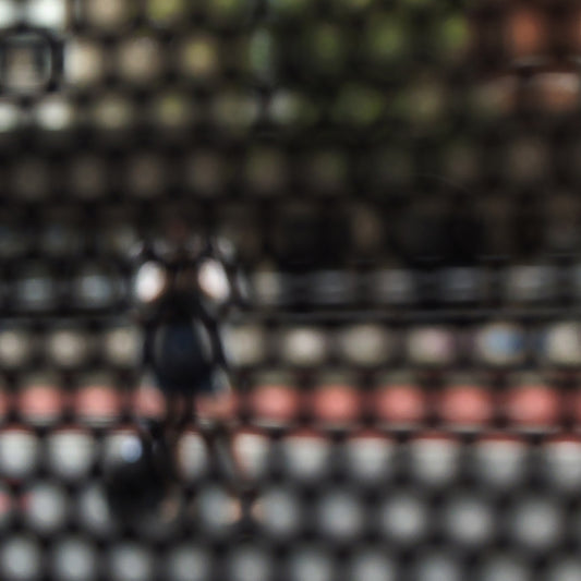 Urban Commute - Series No.2: 9568 - Close Detail View, fine art photograph by Raymond Mather featuring a blurred, solitary pedestrian viewed through a patterned screen. Muted tones and soft outlines evoke warmth, introspection, and urban stillness.