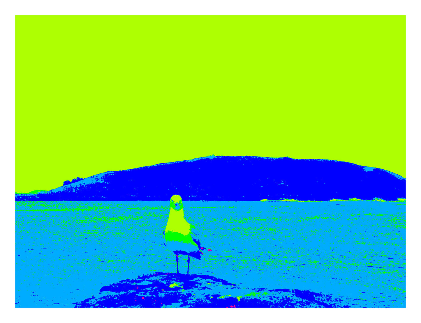 Vivid Country - Coffs Harbour - Seagull 1332v3 - 104x81.5cm, Pop-art style fine art print of a seagull standing on a rock at Coffs Harbour with Gumbaynggirr Mutton Bird Island backdrop, rendered in vivid green, blue, and yellow tones.