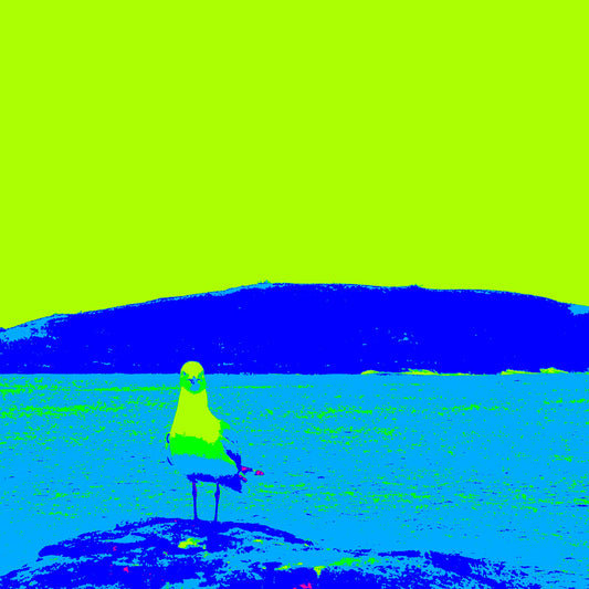 Vivid Country - Coffs Harbour - Seagull 1332v3 - Close Detail View, Pop-art style fine art print of a seagull standing on a rock at Coffs Harbour with Gumbaynggirr Mutton Bird Island backdrop, rendered in vivid green, blue, and yellow tones.