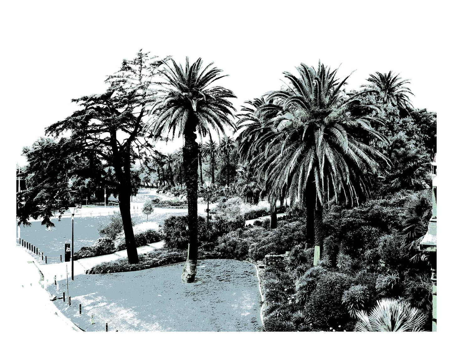 Vivid Country - Melbourne - Alexandra Gardens - 0082v5a - 104x81.5cm, Stylised fine art print of Alexandra Gardens in Melbourne, featuring palm trees, curved pathways, and layered foliage in soft blue-grey tones.