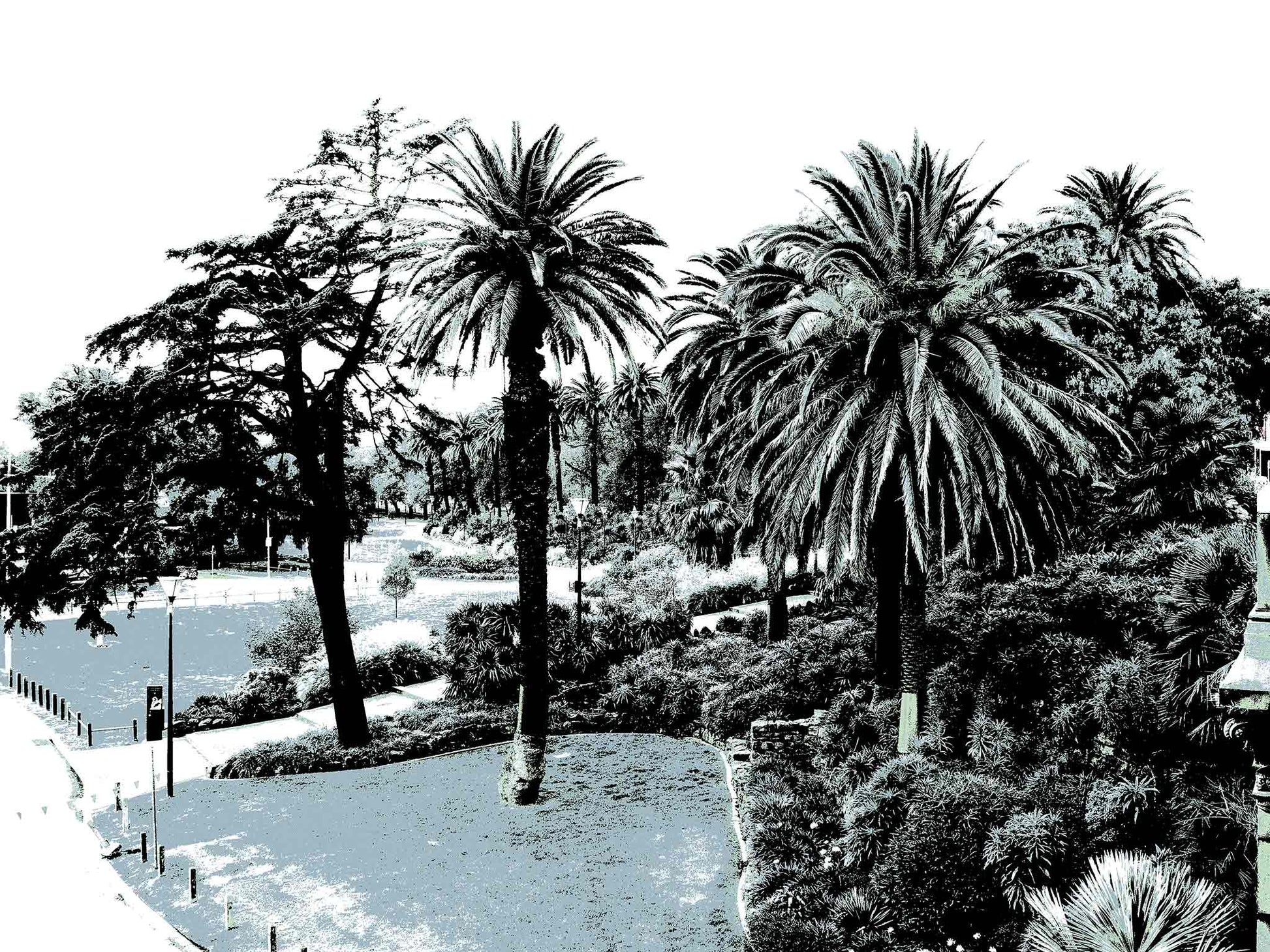 Vivid Country - Melbourne - Alexandra Gardens - 0082v5a - 90x67.5cm, Stylised fine art print of Alexandra Gardens in Melbourne, featuring palm trees, curved pathways, and layered foliage in soft blue-grey tones.