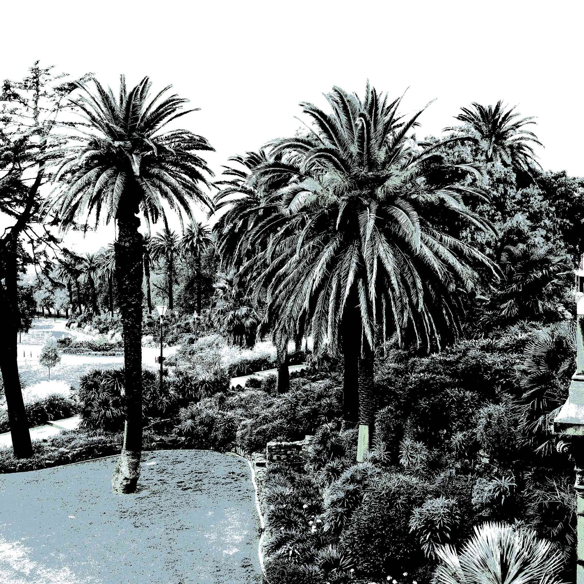 Vivid Country - Melbourne - Alexandra Gardens - 0082v5a - Close Detail View, Stylised fine art print of Alexandra Gardens in Melbourne, featuring palm trees, curved pathways, and layered foliage in soft blue-grey tones.