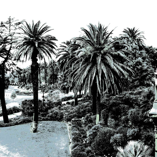 Vivid Country - Melbourne - Alexandra Gardens - 0082v5a - Close Detail View, Stylised fine art print of Alexandra Gardens in Melbourne, featuring palm trees, curved pathways, and layered foliage in soft blue-grey tones.